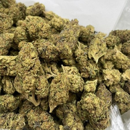 How Is Cannabis Grown? From Seed to Flower