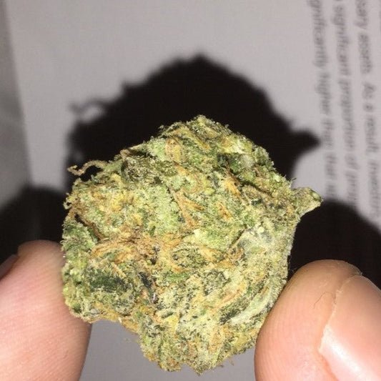 Finding the Best Cannabis for Your Money in Johannesburg