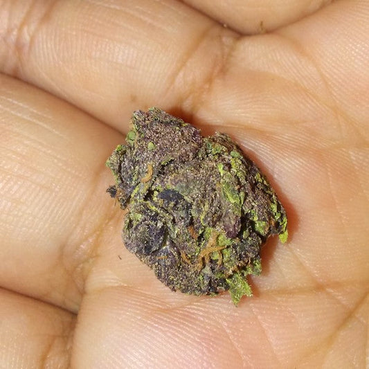 Finding the Best Cannabis for Your Money in Johannesburg South