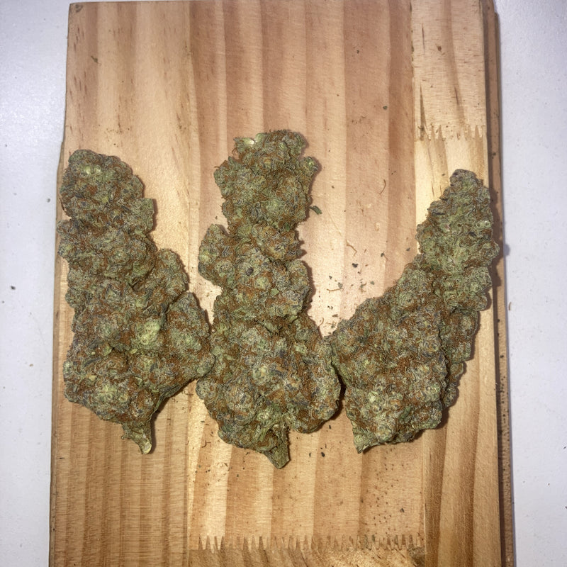 Wiz Khalifa Kush 6A+ Hybrid - Indoor Premium Cannabis 50g | Dis-can Johannesburg