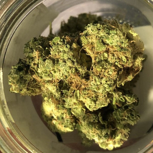 Cannabis Flower Explained: Indoor vs Tunnel vs Greenhouse vs Outdoor