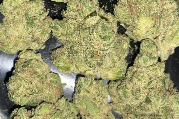 How Pretoria Cannabis Users Are Getting the Best Value for Their Money with Dis-can