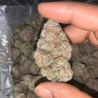 Finding the Best Cannabis for Your Money in Randburg, South Africa