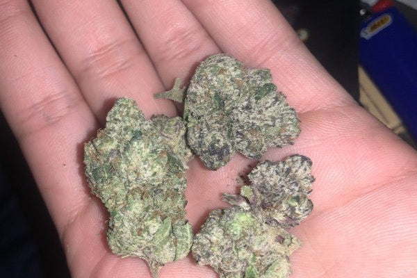 How Long Does Cannabis Last? Understanding Freshness, Expiry & Storage