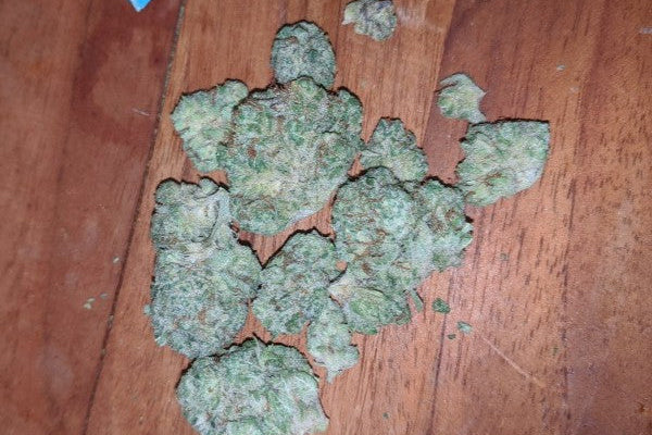 Cannabis for Beginners: A Complete First-Time User’s Guide