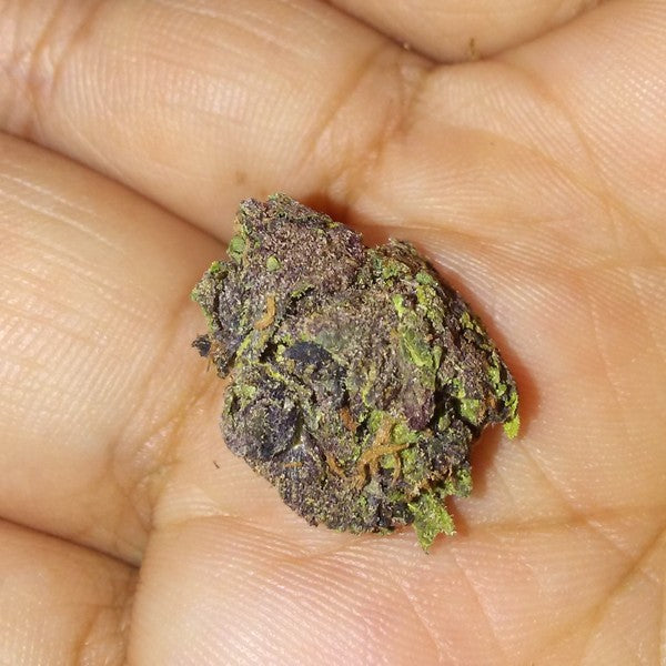 Finding the Best Cannabis for Your Money in Johannesburg South