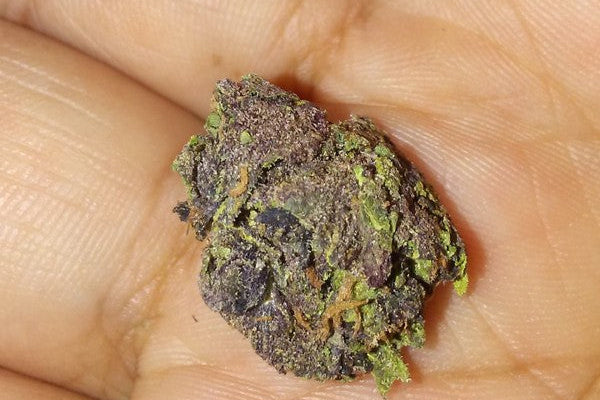 Best Cannabis for Your Money in Roodepoort: How Everyday South Africans Get More Value Without Compromise