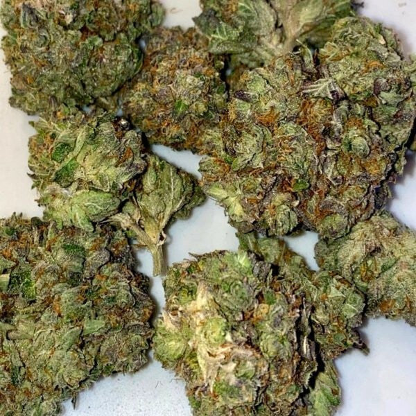 Finding the Best Cannabis for Your Money in Benoni, South Africa