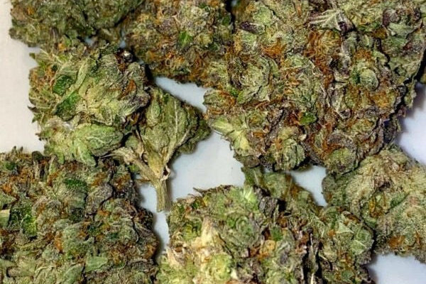Finding the Best Cannabis for Your Money in Benoni, South Africa