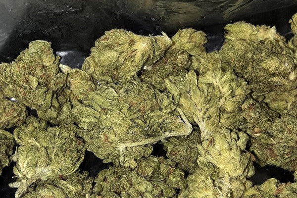 Finding the Best Cannabis for Your Money in Lethabong, South Africa