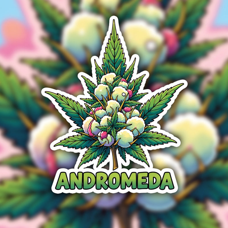 Andromeda Hybrid - Indoor AAA Cannabis 5g | Dis-can Johannesburg