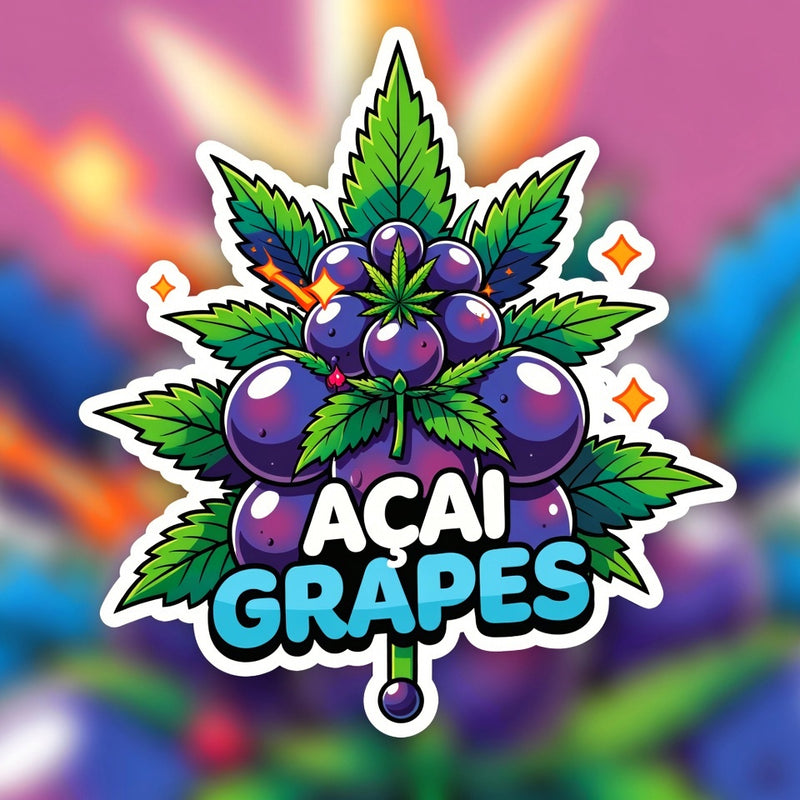 Acai Grapes Hybrid - Indoor AAA Cannabis 10g | Dis-can Johannesburg - Image 1