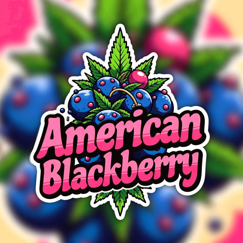 American Blackberry Hybrid - Indoor AAA Cannabis 1g | Dis-can Johannesburg - Image 1