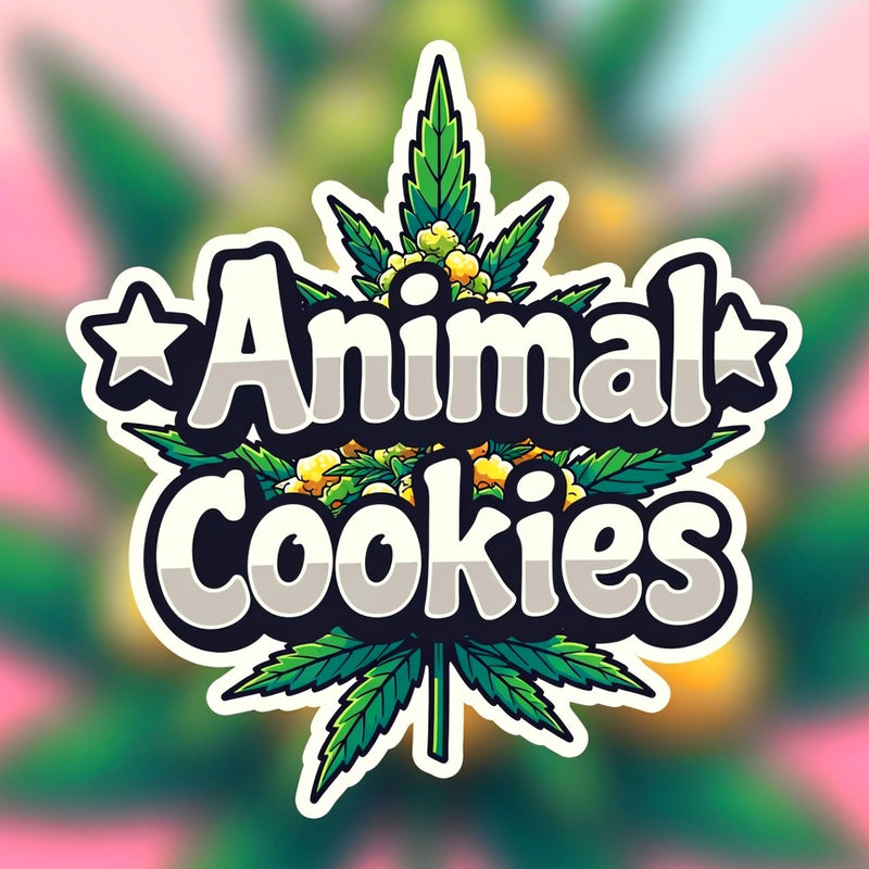 Animal Cookies Hybrid - Indoor AAA Cannabis 20g | Dis-can Johannesburg - Image 1