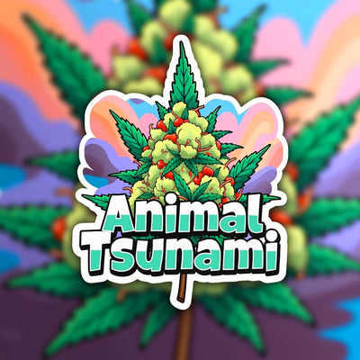 Animal Tsunami Hybrid - Indoor AAA Cannabis 10g | Dis-can Johannesburg - Image 1