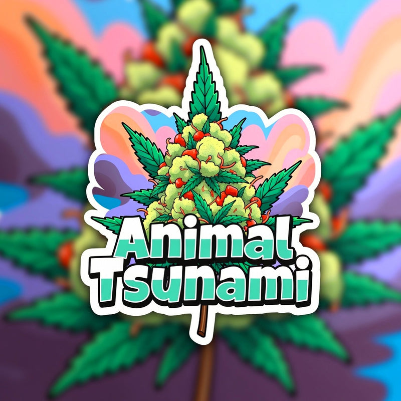 Animal Tsunami Hybrid - Indoor AAA Cannabis 20g | Dis-can Johannesburg - Image 1