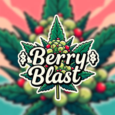 Berry Blast Hybrid - Popcorn Buds Cannabis 1g | Dis-can Johannesburg - Image 1