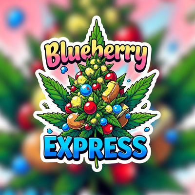 Blueberry Express Hybrid - Greenhouse Cannabis 10g | Dis-can Johannesburg - Image 1