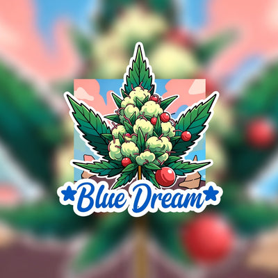 Blue Dream Hybrid - Indoor AAA Cannabis 5g | Dis-can Johannesburg