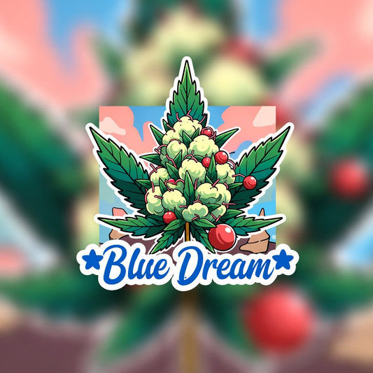 Blue Dream Hybrid - Indoor AAA Cannabis 1g | Dis-can Johannesburg