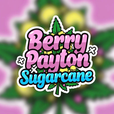 Berry Payton x Sugarcane Hybrid - Indoor AAA Cannabis 20g | Dis-can Johannesburg - Image 1