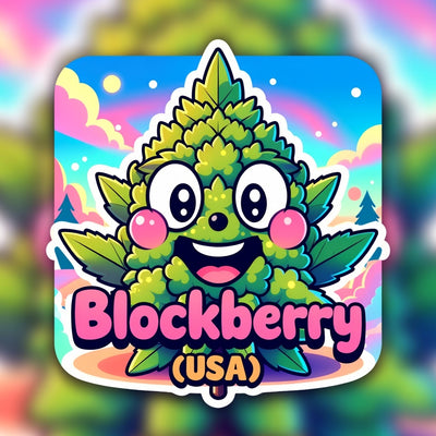 Blockberry (USA) Hybrid - Indoor AAA Cannabis 20g | Dis-can Johannesburg - Image 1