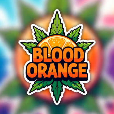 Blood Orange Hybrid - Indoor AAA Cannabis 20g | Dis-can Johannesburg - Image 1