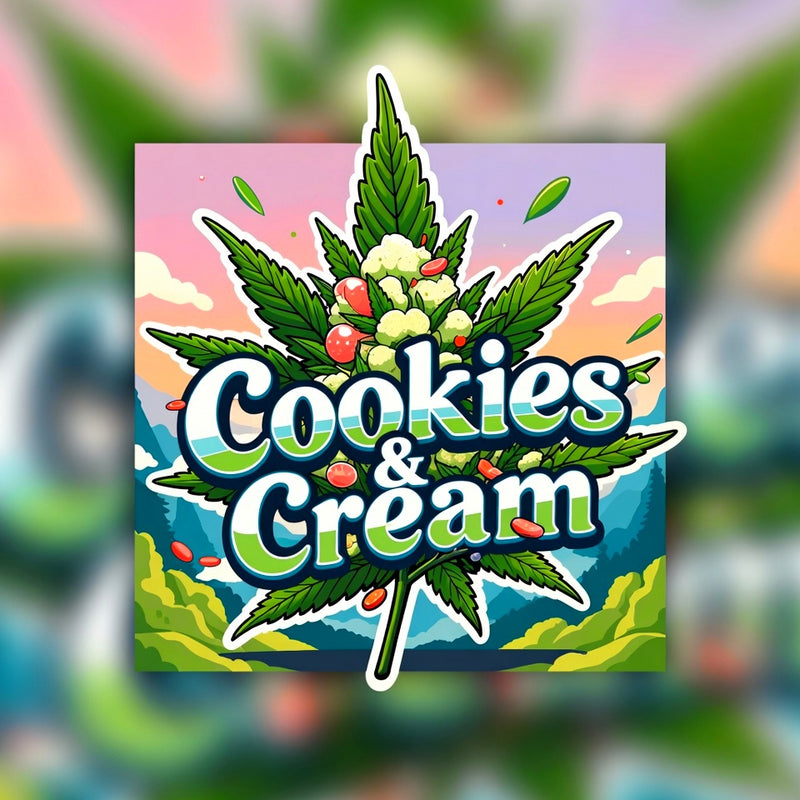 Cookies & Cream Hybrid - Popcorn Buds Cannabis 1g | Dis-can Johannesburg