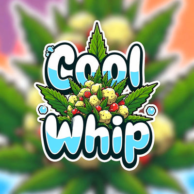 Cool Whip Hybrid - Indoor AAA Cannabis 20g | Dis-can Johannesburg - Image 1