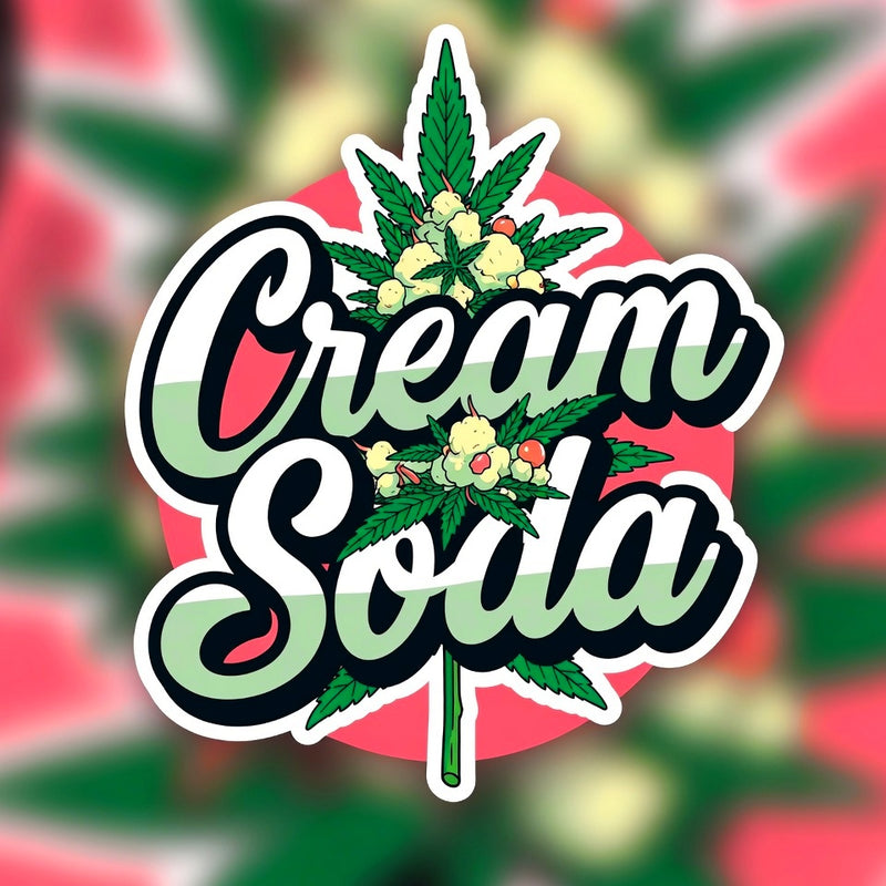Cream Soda Hybrid - Indoor AAA Cannabis 1g | Dis-can Johannesburg - Image 1