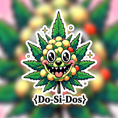 Do-Si-Dos Hybrid - Popcorn Buds Cannabis 3g | Dis-can Johannesburg