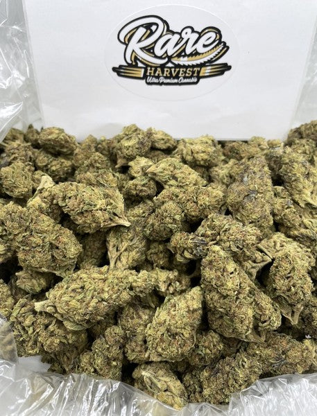 AK-47 Sativa - Greenhouse Cannabis 10g | Johannesburg | Dis-can - image 14