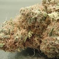 AK-47 Sativa - Greenhouse Cannabis 10g | Johannesburg | Dis-can - image 32