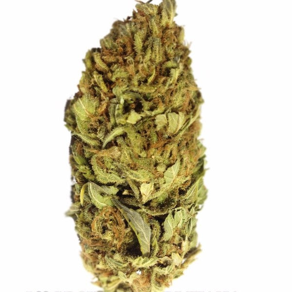 AK-47 Sativa - Greenhouse Cannabis 10g | Johannesburg | Dis-can - image 20