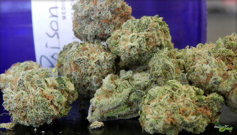 AK-47 Sativa - Greenhouse Cannabis 10g | Johannesburg | Dis-can - image 7