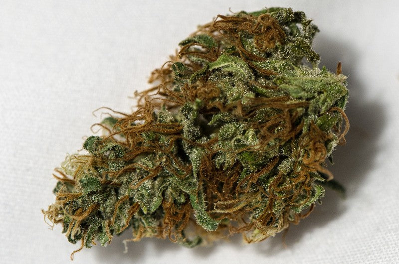 AK-47 Sativa - Greenhouse Cannabis 10g | Johannesburg | Dis-can - image 11