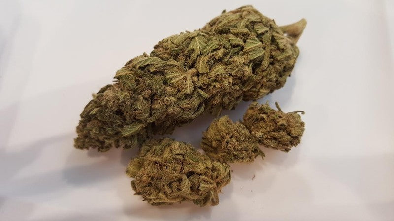AK-47 Sativa - Greenhouse Cannabis 10g | Johannesburg | Dis-can - image 25