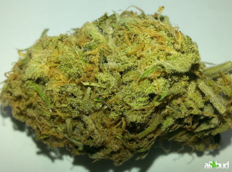 AK-47 Sativa - Greenhouse Cannabis 10g | Johannesburg | Dis-can - image 9
