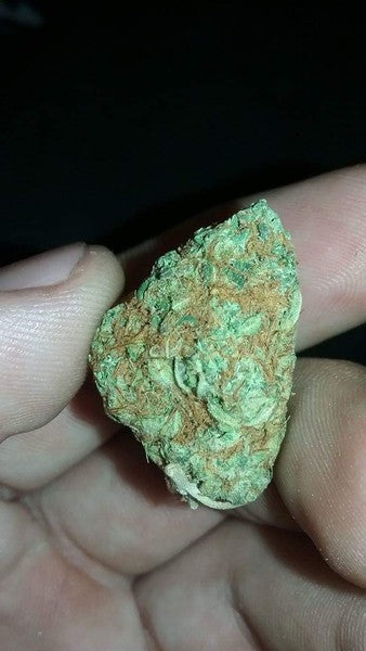 AK-47 Sativa - Greenhouse Cannabis 10g | Johannesburg | Dis-can - image 30