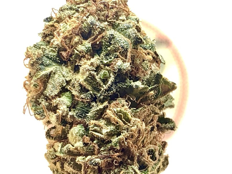 AK-47 Sativa - Greenhouse Cannabis 10g | Johannesburg | Dis-can - image 4