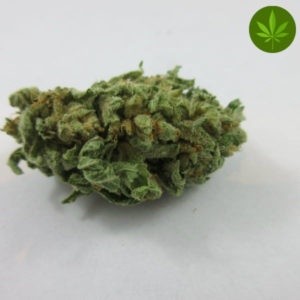 AK-47 Sativa - Greenhouse Cannabis 10g | Johannesburg | Dis-can - image 27
