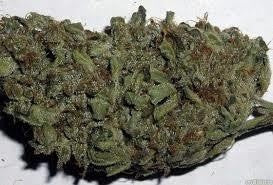 Alaskan Hybrid - Popcorn Buds Cannabis 1g | Dis-can Johannesburg