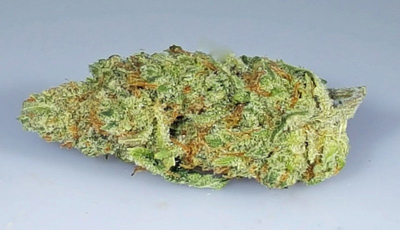 Alaskan Hybrid - Popcorn Buds Cannabis 1g | Dis-can Johannesburg - image 2