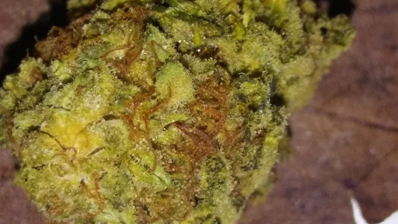 Alien Cookies Hybrid - Tunnel Cannabis 3g | Dis-can Johannesburg - image 2
