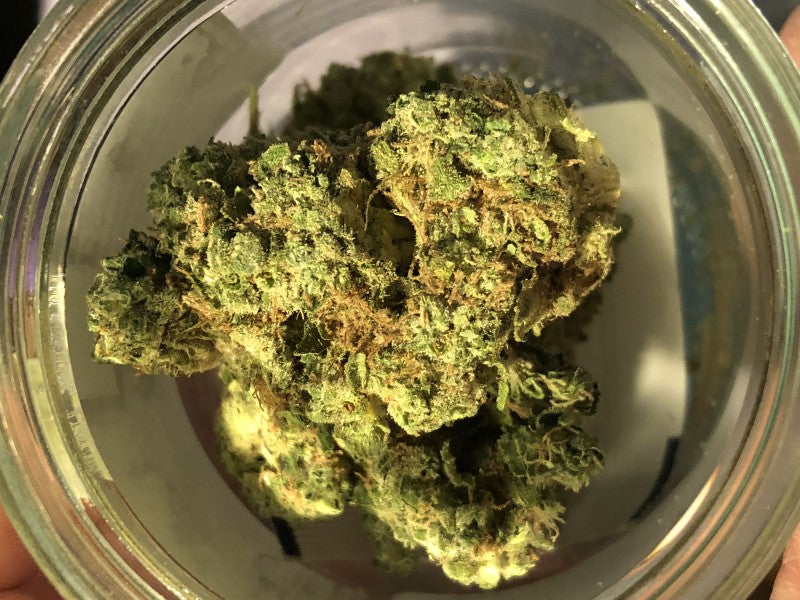 Alien Cookies Hybrid - Tunnel Cannabis 3g | Dis-can Johannesburg - image 3