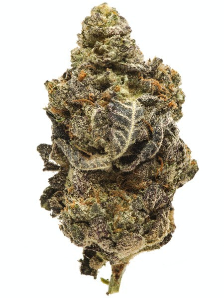Alien Cookies Hybrid - Tunnel Cannabis 3g | Dis-can Johannesburg - image 1