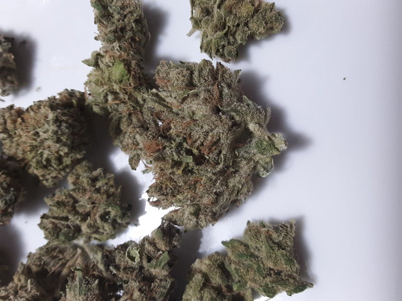 Alien Cookies Hybrid - Tunnel Cannabis 3g | Dis-can Johannesburg - image 12