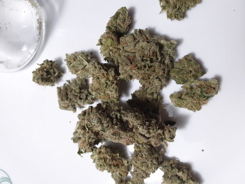 Alien Cookies Hybrid - Tunnel Cannabis 3g | Dis-can Johannesburg - image 13