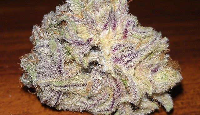 American Blackberry Hybrid - Indoor AAA Cannabis 20g | Dis-can Johannesburg - image 2