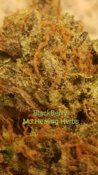 American Blackberry Hybrid - Indoor AAA Cannabis 20g | Dis-can Johannesburg - image 4
